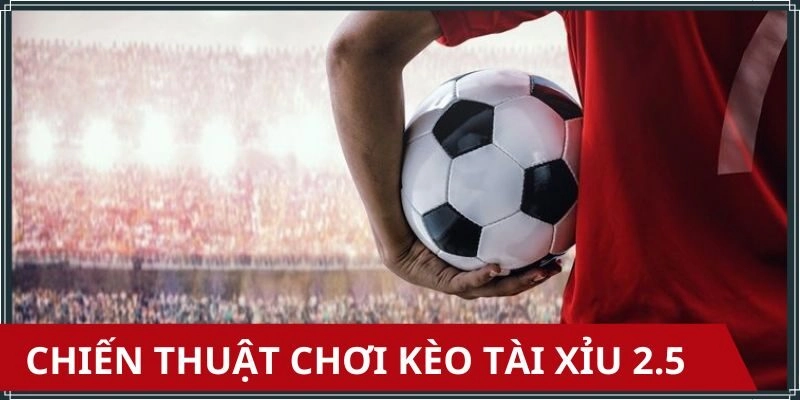 Kinh nghiệm soi kèo 2.5 chuẩn