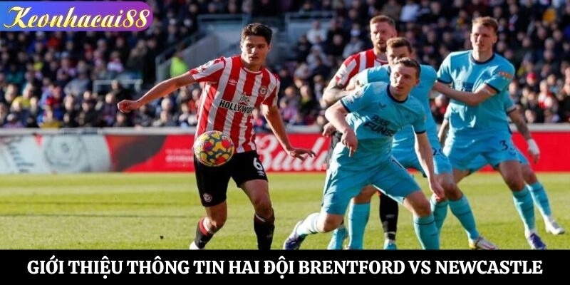 Giới thiệu thông tin hai đội Brentford vs Newcastle