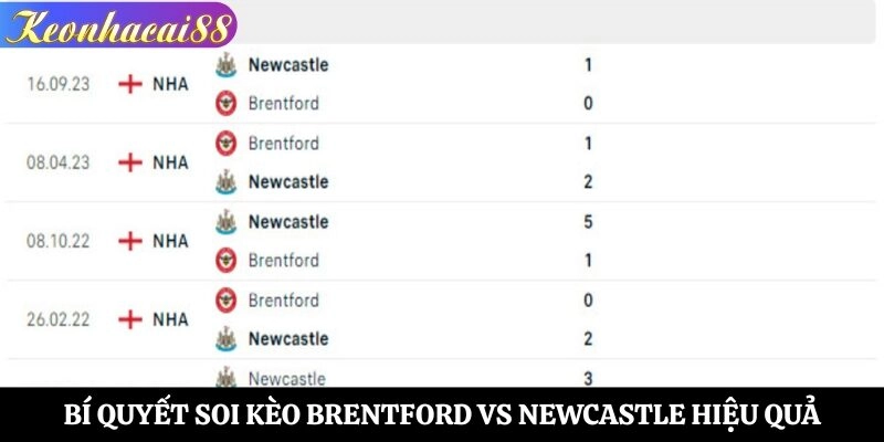 Bí quyết soi kèo Brentford vs Newcastle hiệu quả