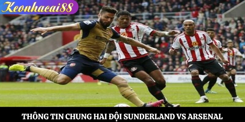 Thông tin chung hai đội Sunderland vs Arsenal